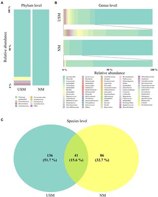 Metatranscriptomic and metataxonomic insights into the ultra-small microbiome of the Korean fermented vegetable, kimchi